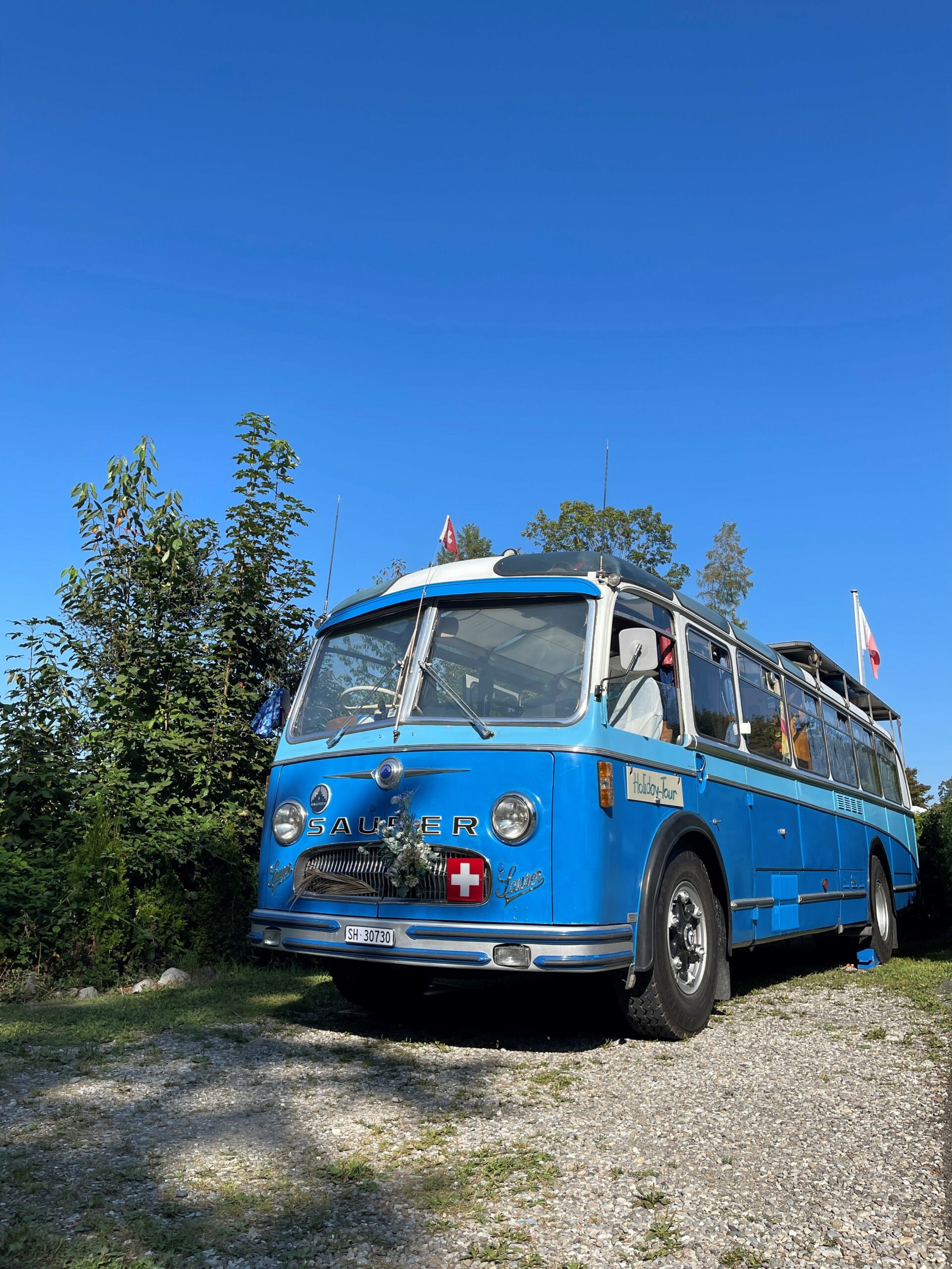 Rapid fahren mit Teddy