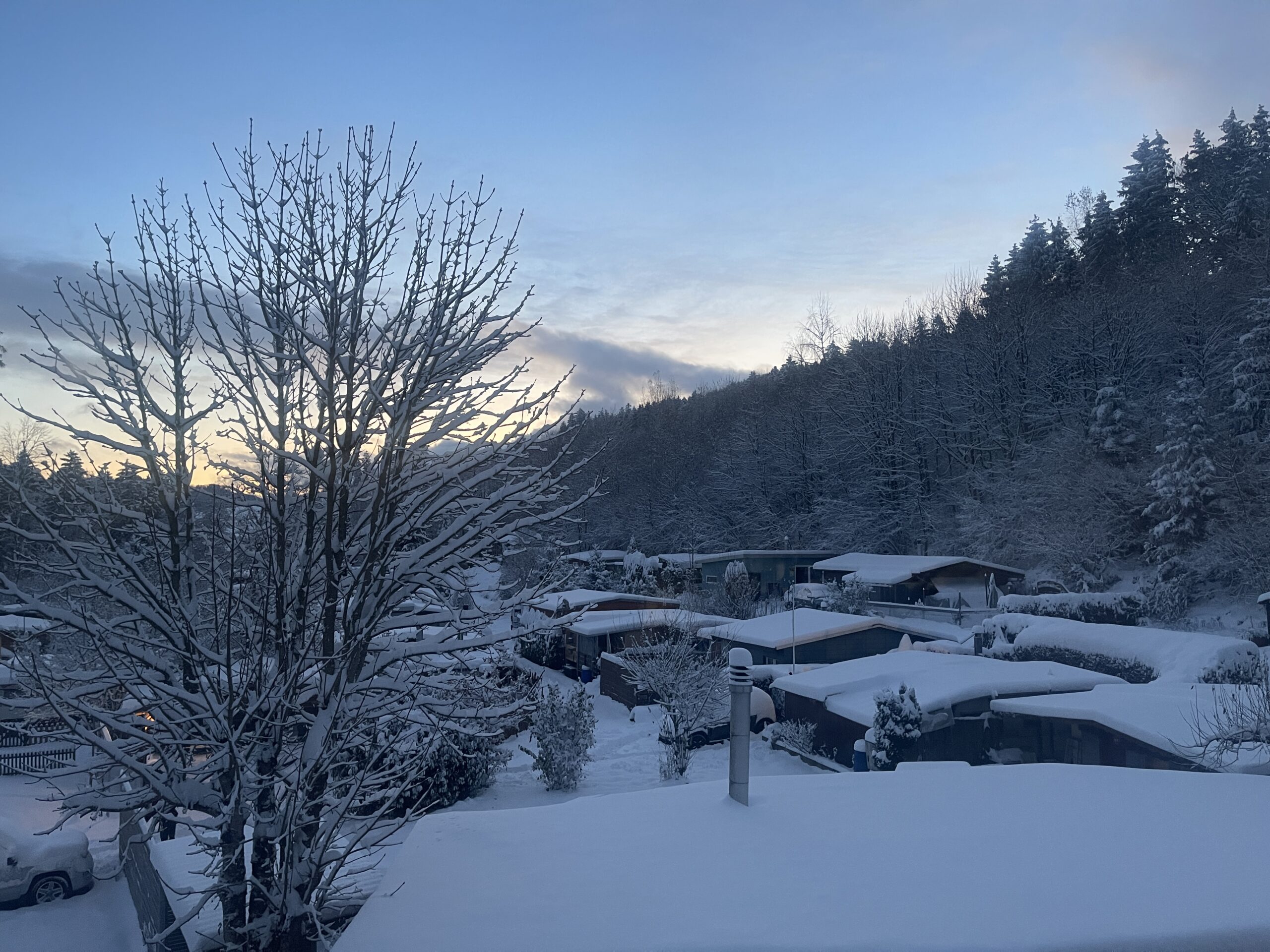 A winter morning on the site